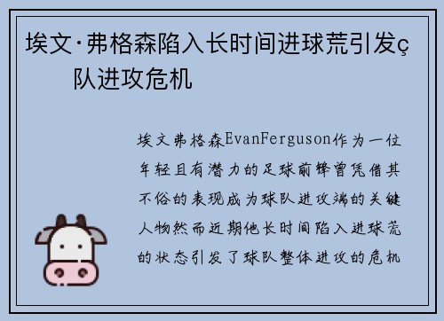 埃文·弗格森陷入长时间进球荒引发球队进攻危机 埃文·弗格森陷入长时间进球荒引发球队进攻危机